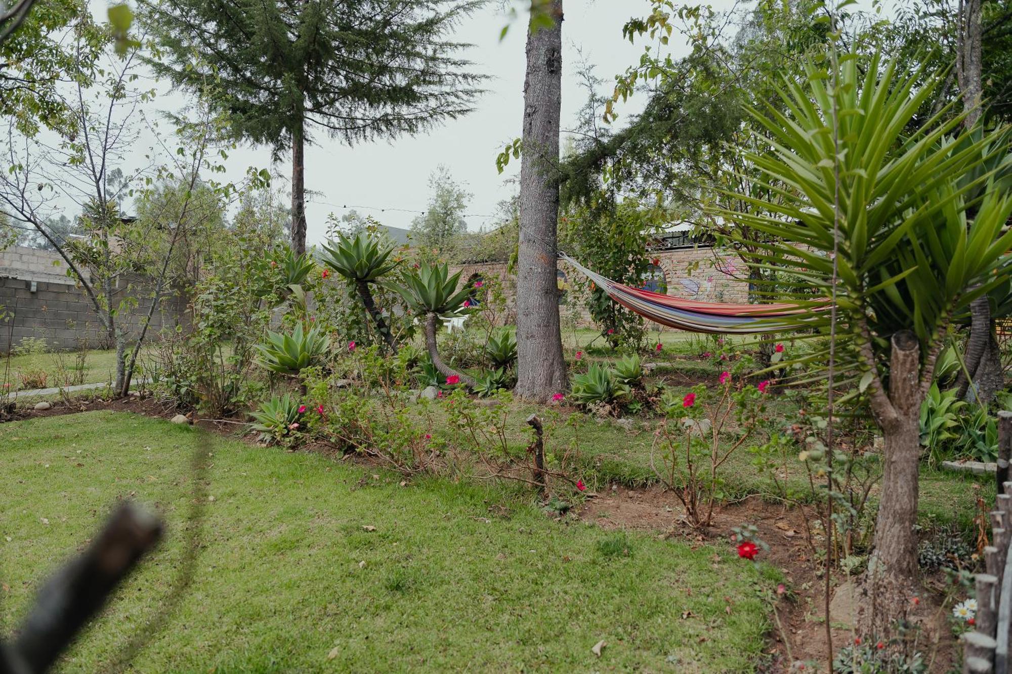 Kinti Wasi Casa De Campo Hospedaje Los Banos del Inca ภายนอก รูปภาพ